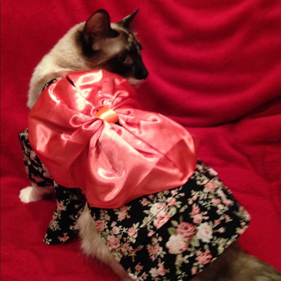 Meet your Posher, Lepetit - Picture 12 of 14